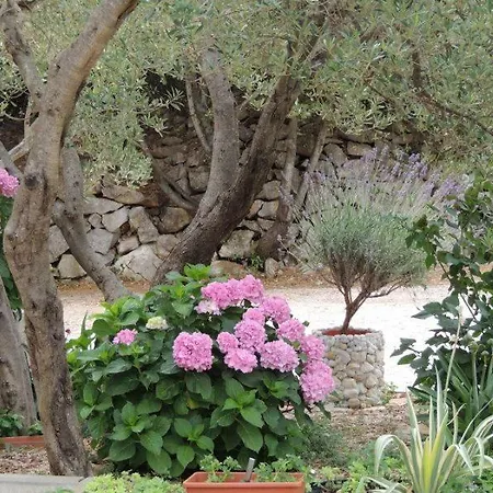Apartament Miro